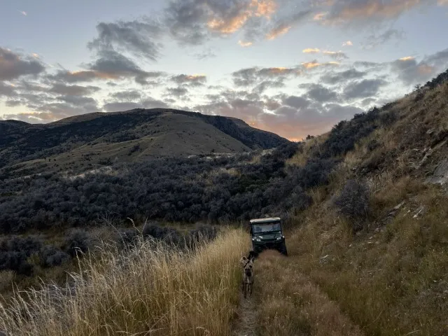 south island hunting trip adventure